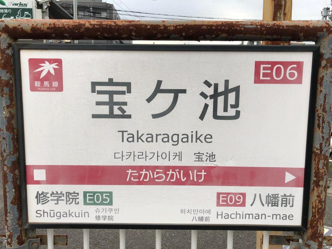 Benidaruma - Usagi 京都
